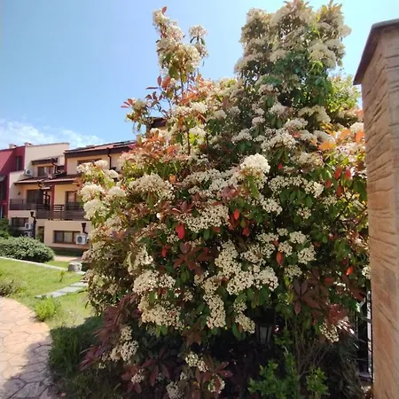 Morski Far Lighthouse-bastet Bs דירה *