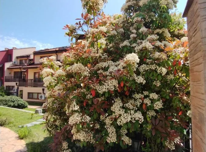 Morski Far Lighthouse-bastet Bs Appartamento *